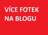 http://charitasluknov.blogspot.cz/